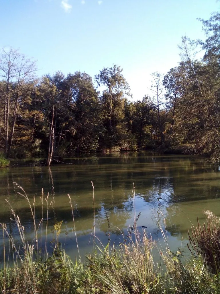 Чайная беседка