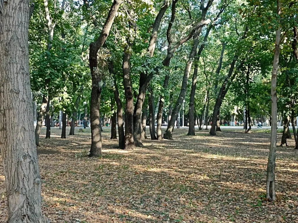       Ах, Самара - городок... 