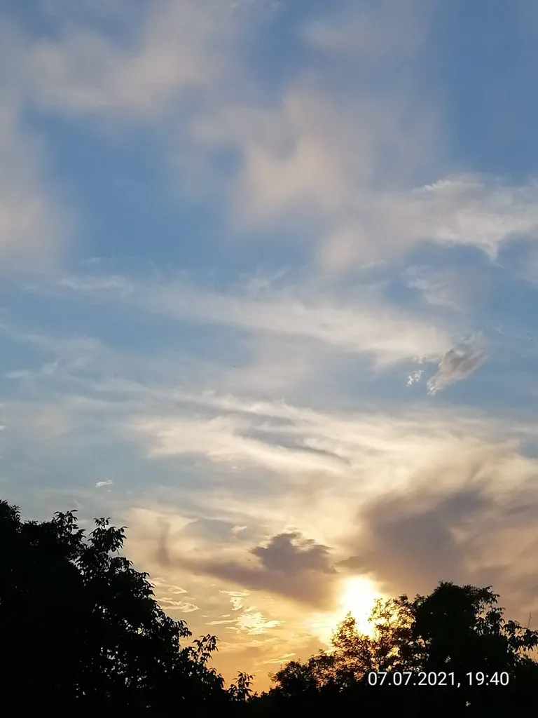 Чайная беседка