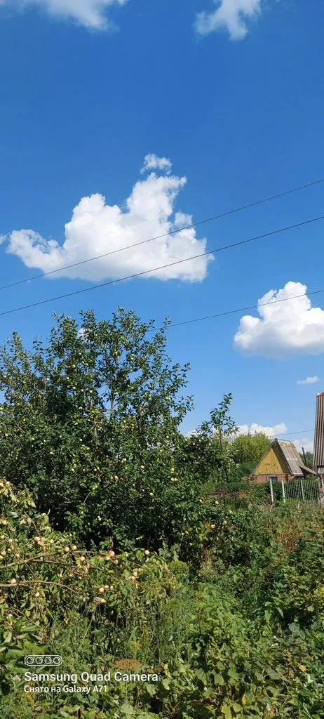 Чайная беседка