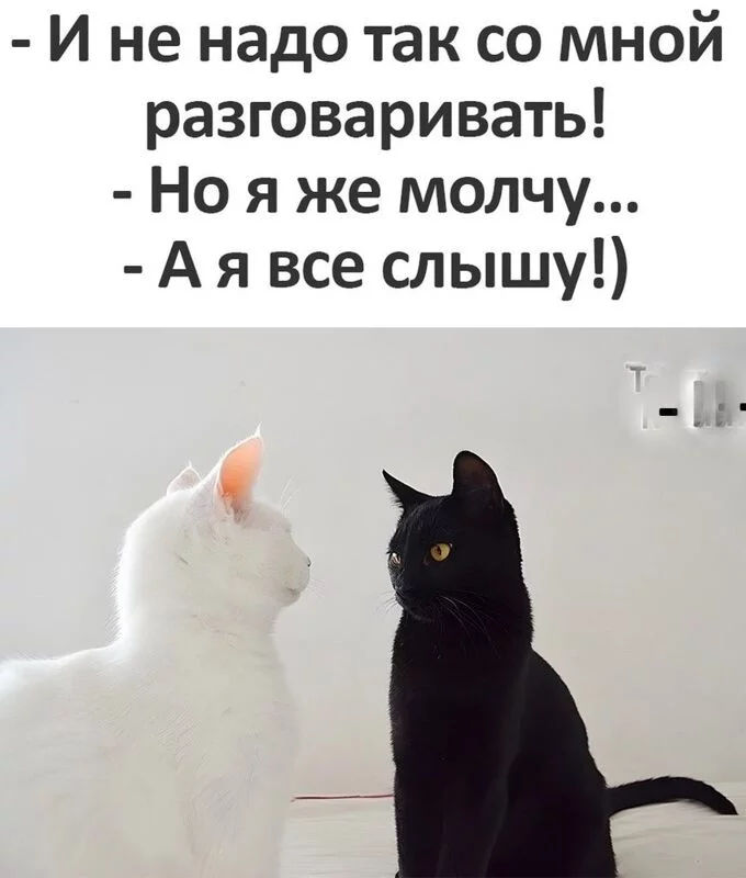 Посмеялся сам - поделись с другом!!!