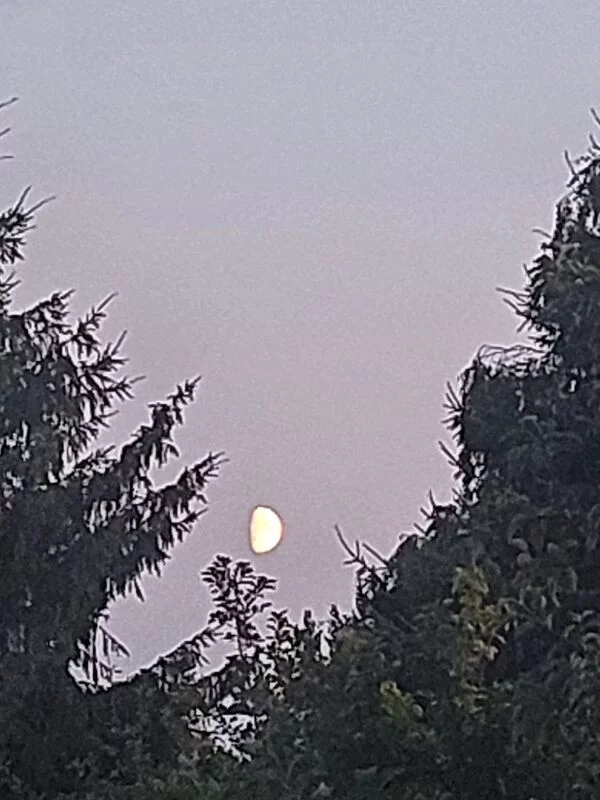 Такое разное небо