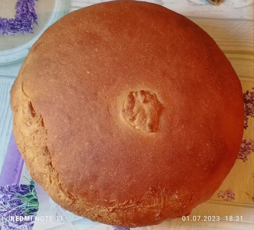 Tapтaлeтки & Ко