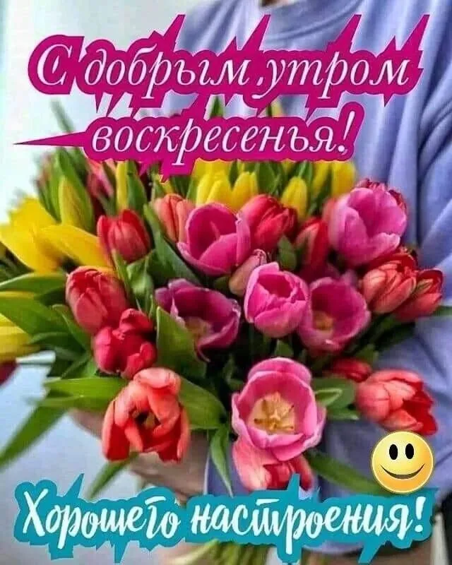 Tapтaлeтки & Ко