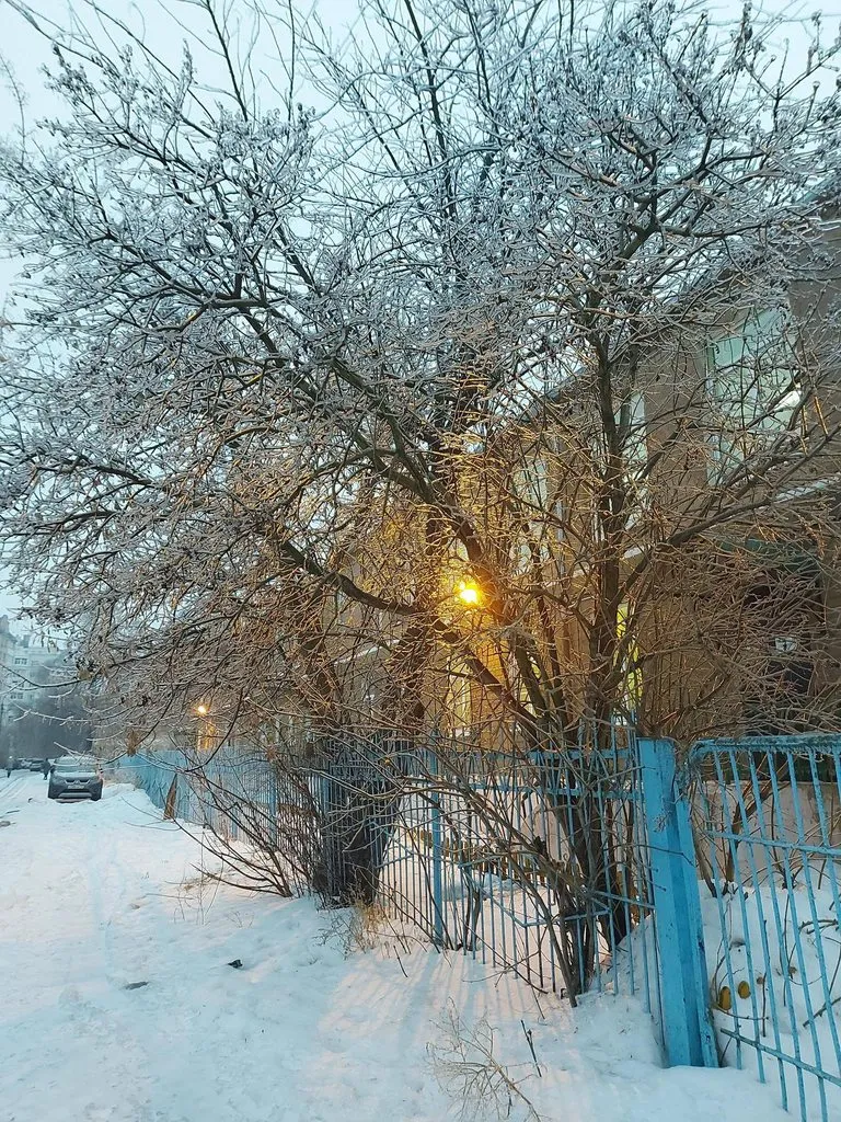 Чайная беседка