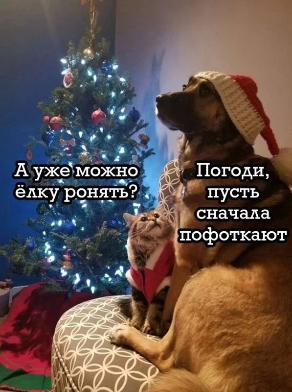 Посмеялся сам - поделись с другом!!!