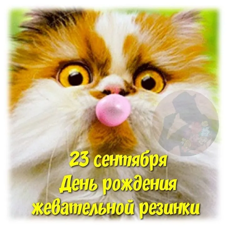 Кафе «У пани Сони»