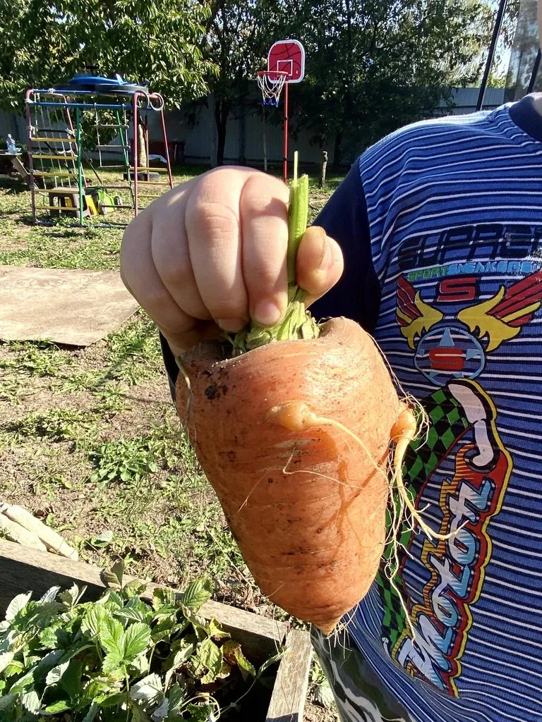 Про всё на свете с Гюзелью