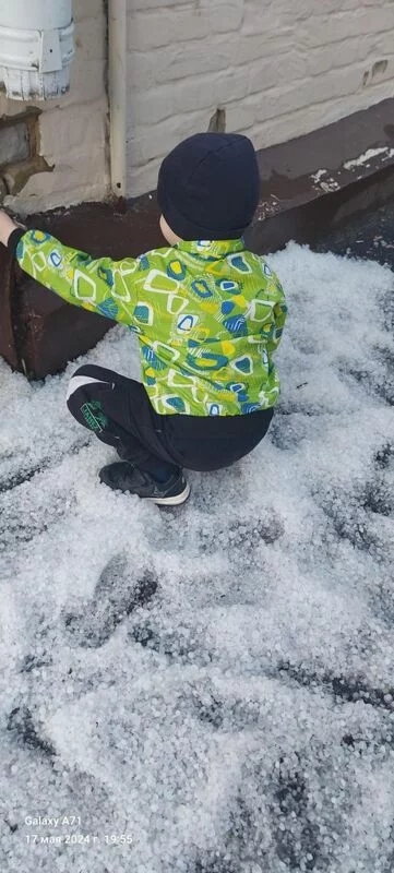 Чайная беседка