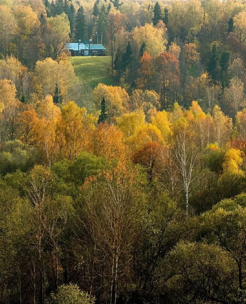 Арт галерея