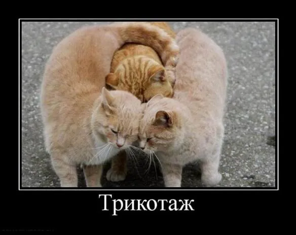 Посмеялся сам - поделись с другом!!!