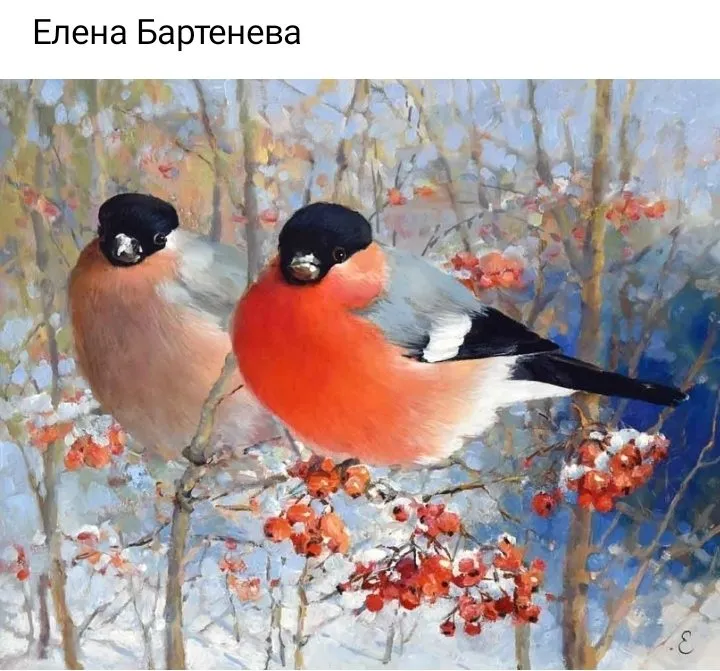Кафе «У пани Сони»