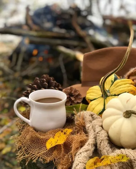 Tapтaлeтки & Ко