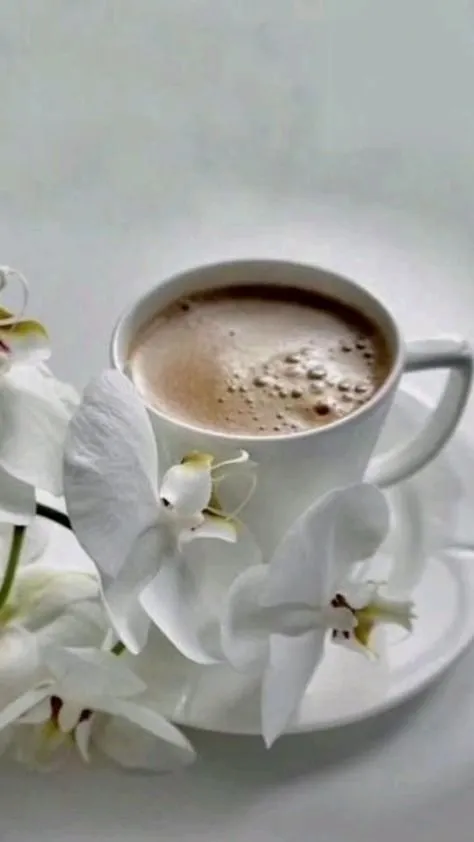 Tapтaлeтки & Ко