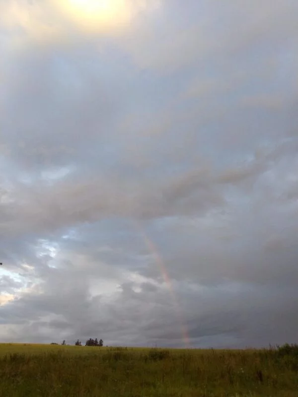 Такое разное небо