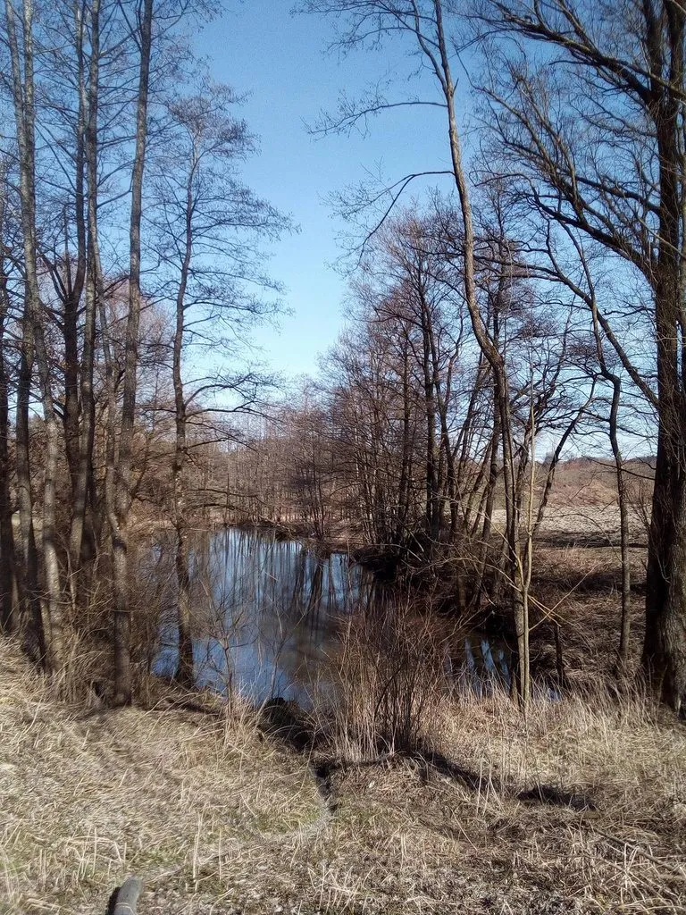 Чайная беседка