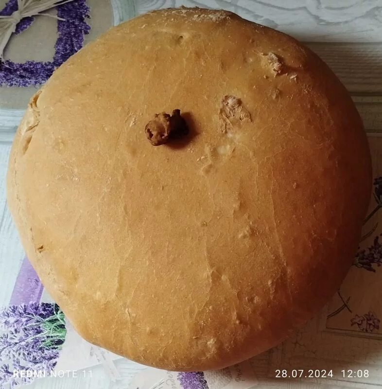 Tapтaлeтки & Ко