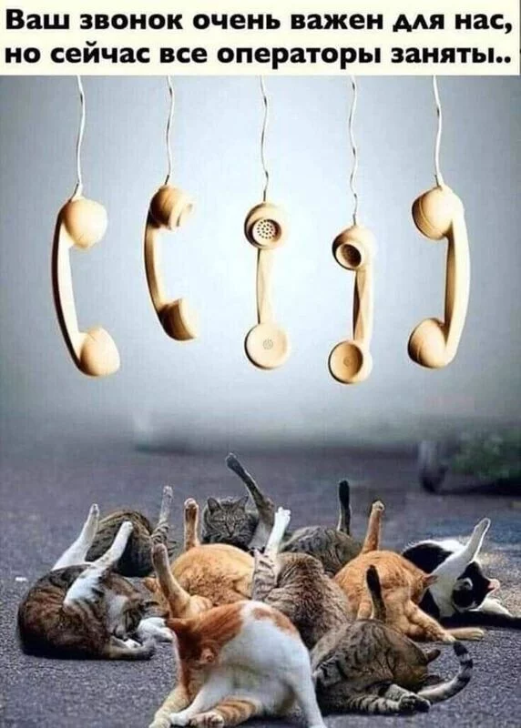 Посмеялся сам - поделись с другом!!!