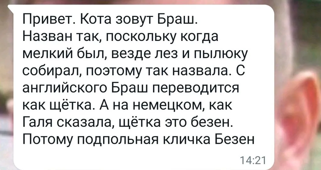 Tapтaлeтки & Ко