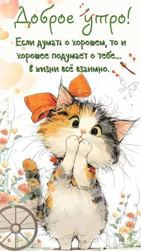 Кафе "У пани Сони"