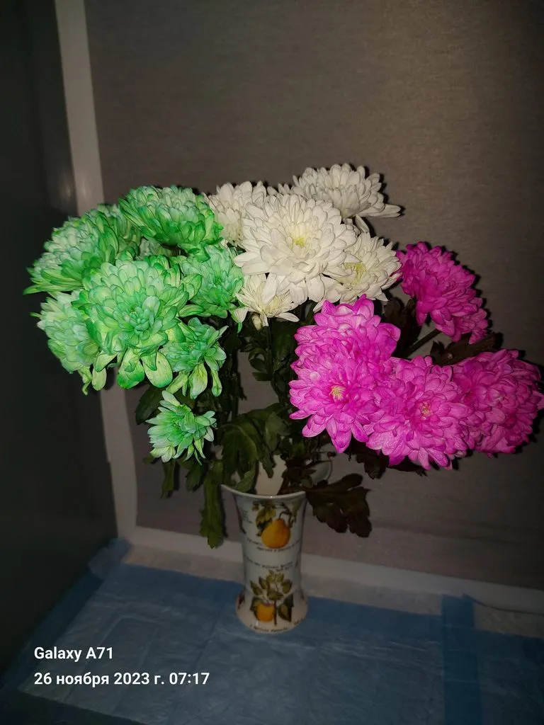 Чайная беседка