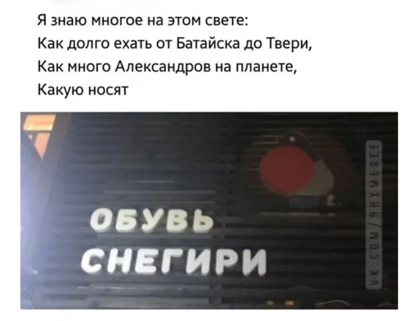 Всюду рифмы