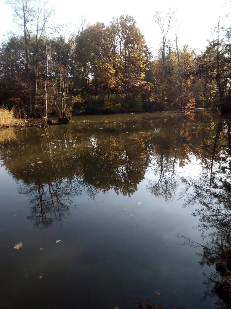 Tapтaлeтки & Ко