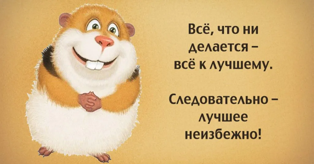 Позитивчик (фото, видео, рассказы для хорошего настроения)
