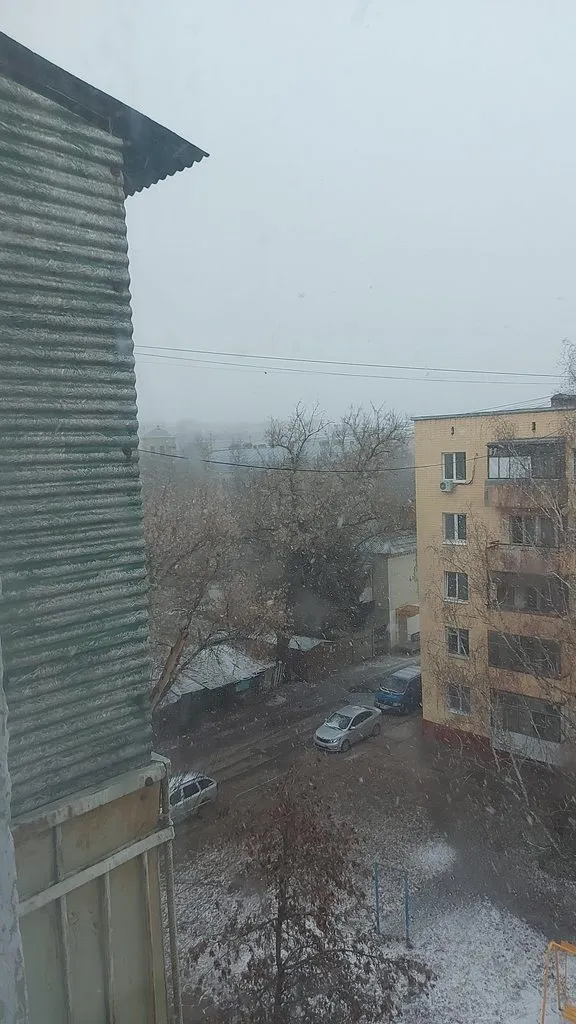 Tapтaлeтки & Ко