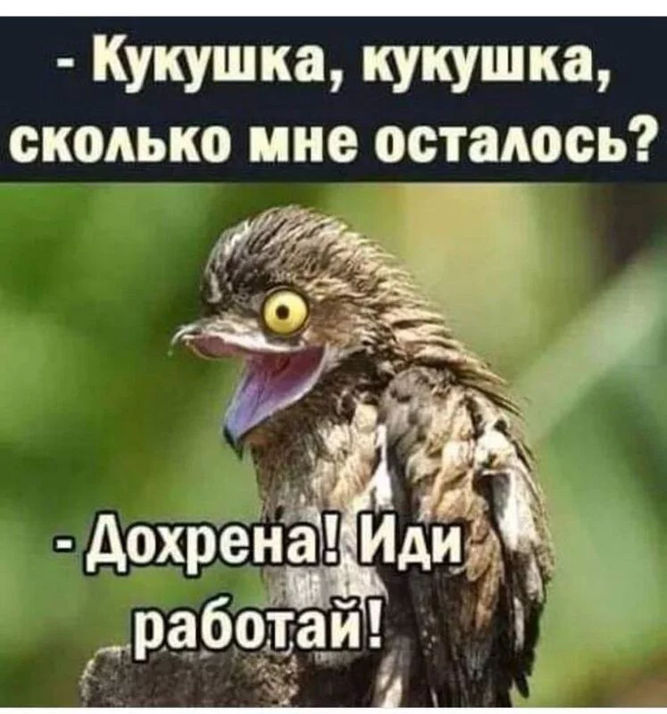 Посмеялся сам - поделись с другом!!!
