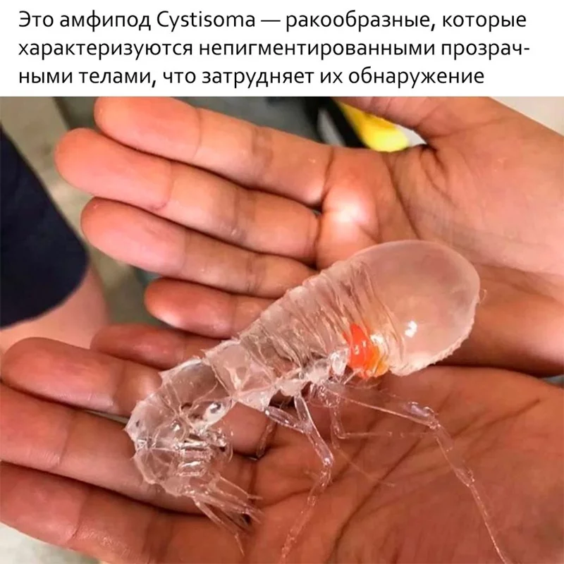 Это интересно!