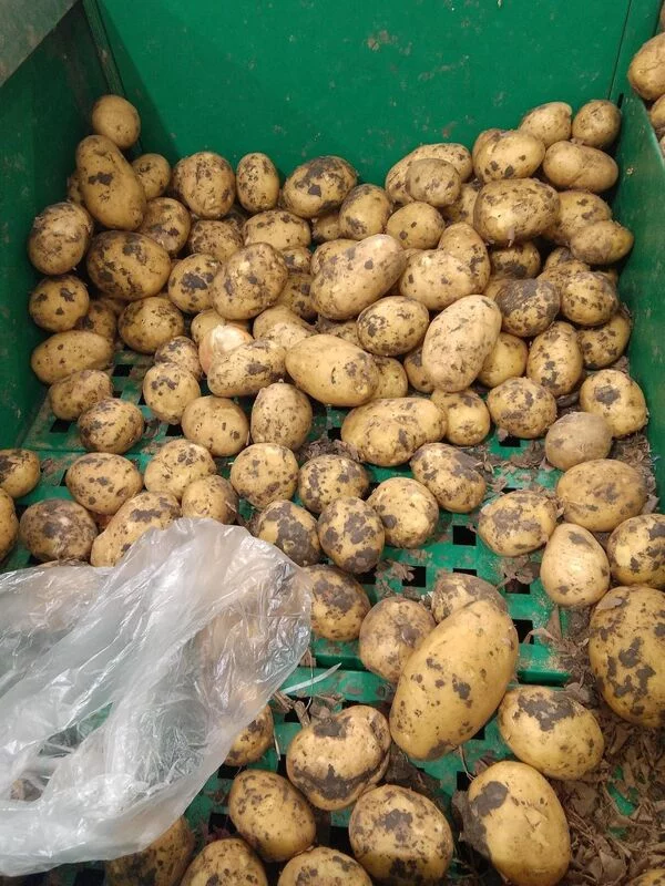 Где, что и когда купить в Москве