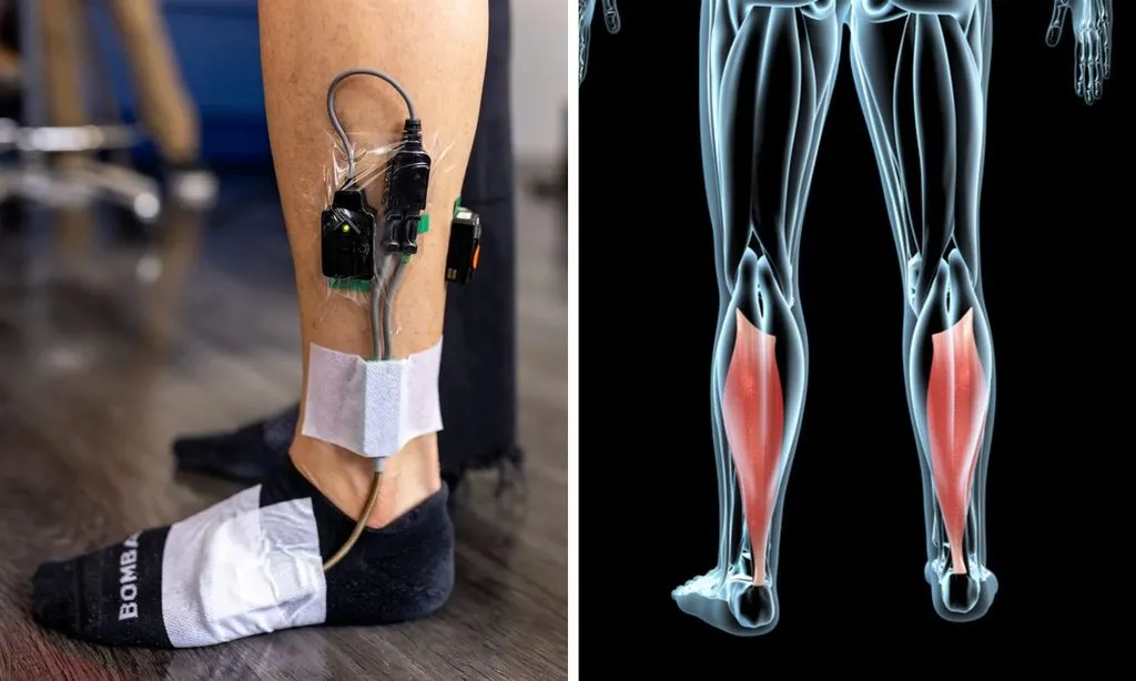 1001-й раз худеем 