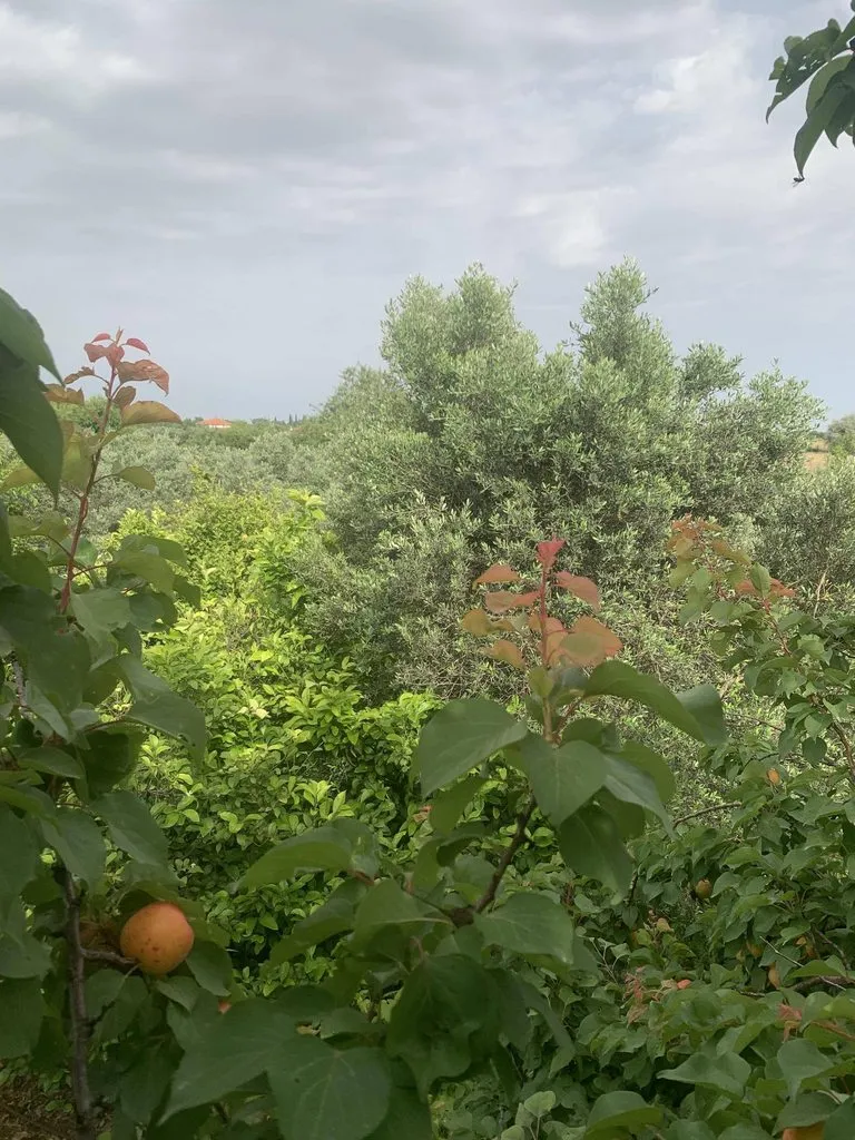 Вопросы к проживающим в местах назначения возможных моих путешествий