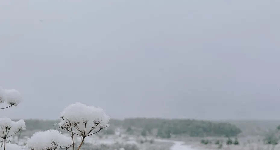 Такое разное небо