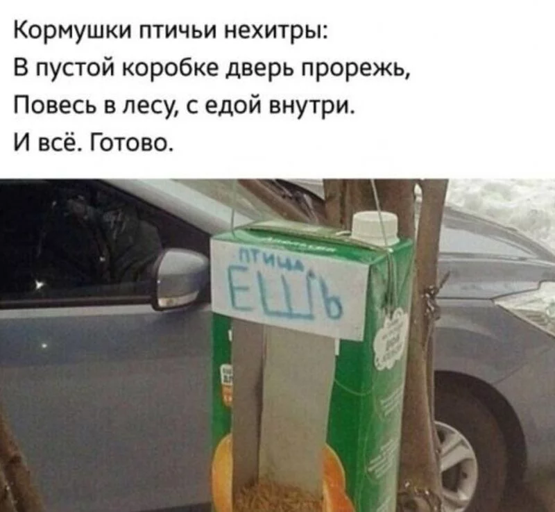 Всюду рифмы