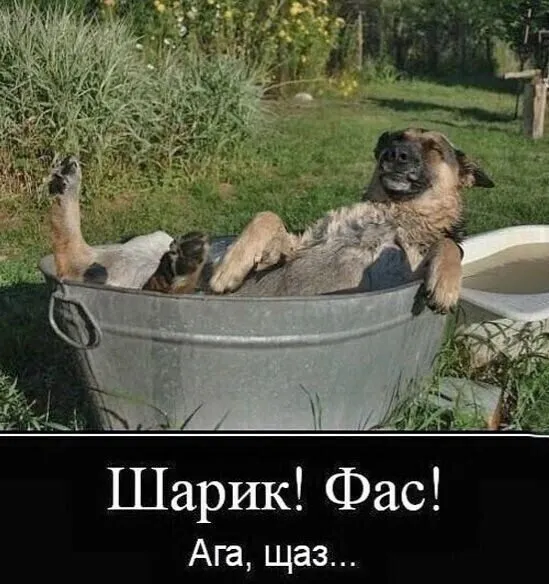 Посмеялся сам - поделись с другом!!!