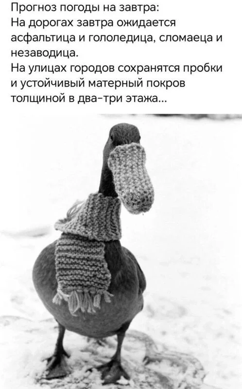 Кафе "У пани Сони"