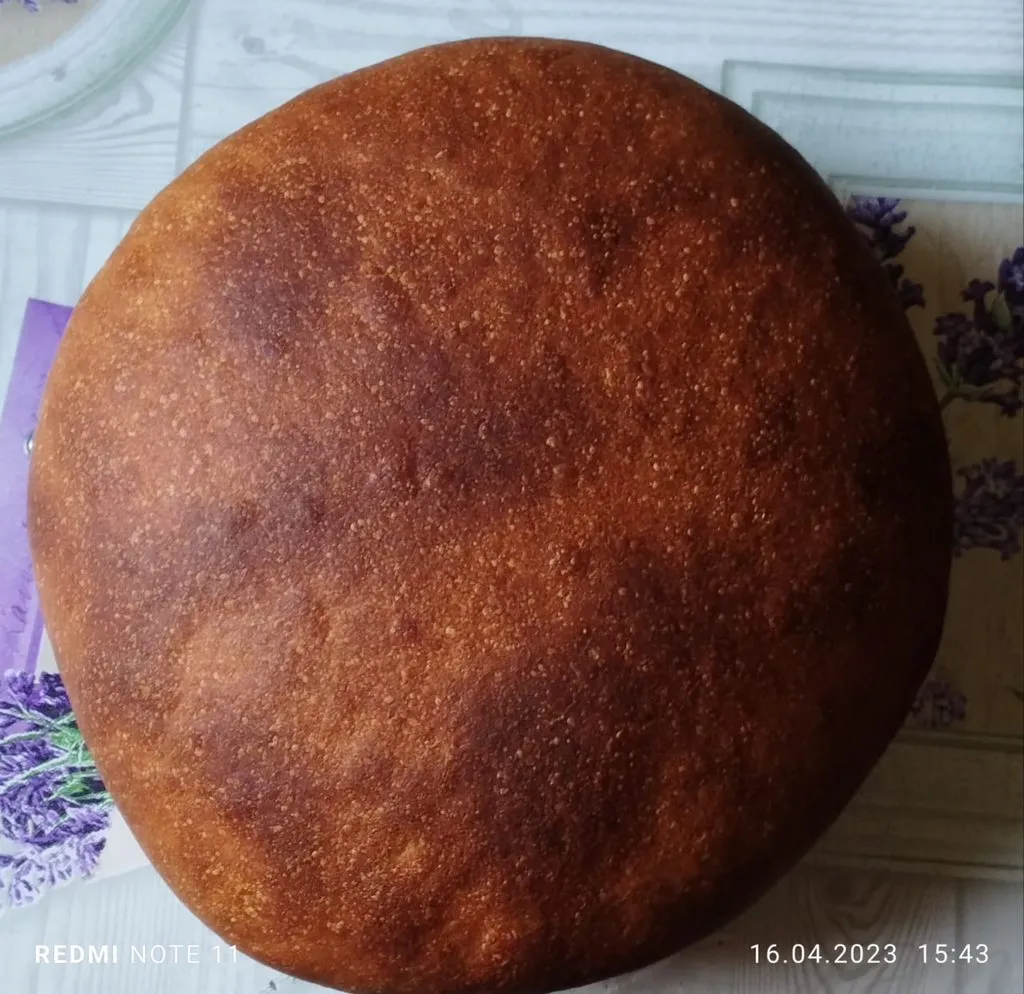 Tapтaлeтки & Ко