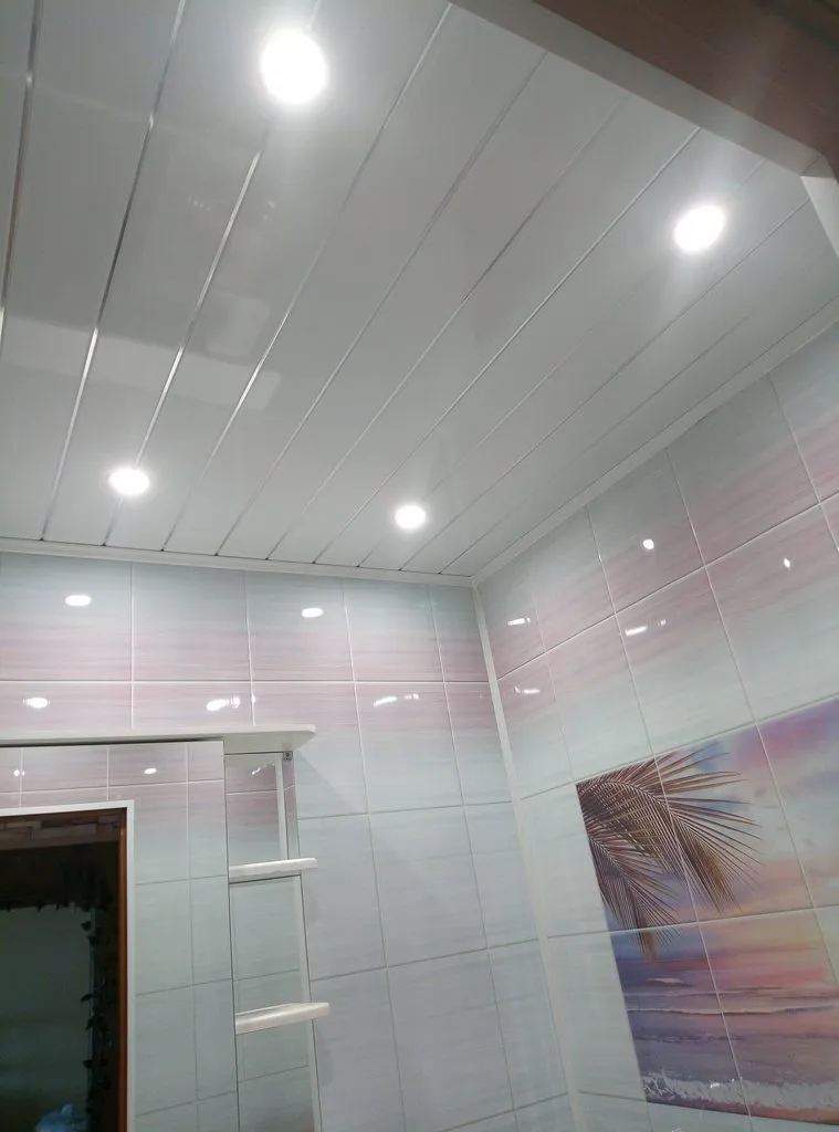 Tapтaлeтки & Ко