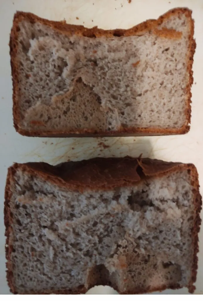 Panasonic SD 2501. Хлебушек из гречневой муки