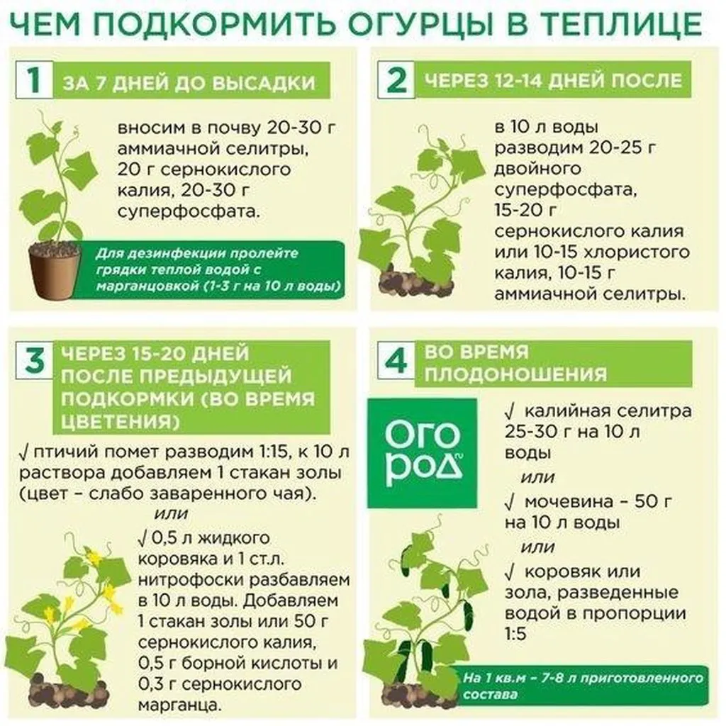 Садово-огородная  инфографика