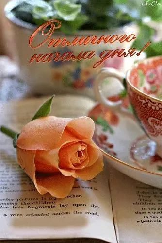 Чайная беседка