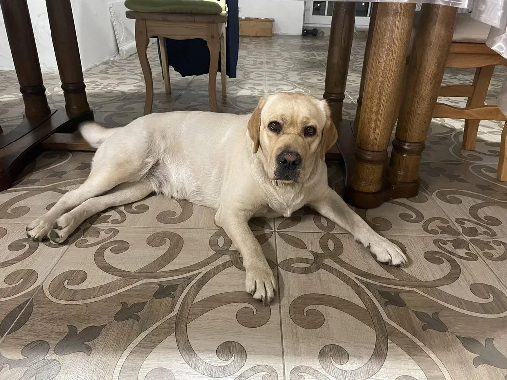 Чайная беседка