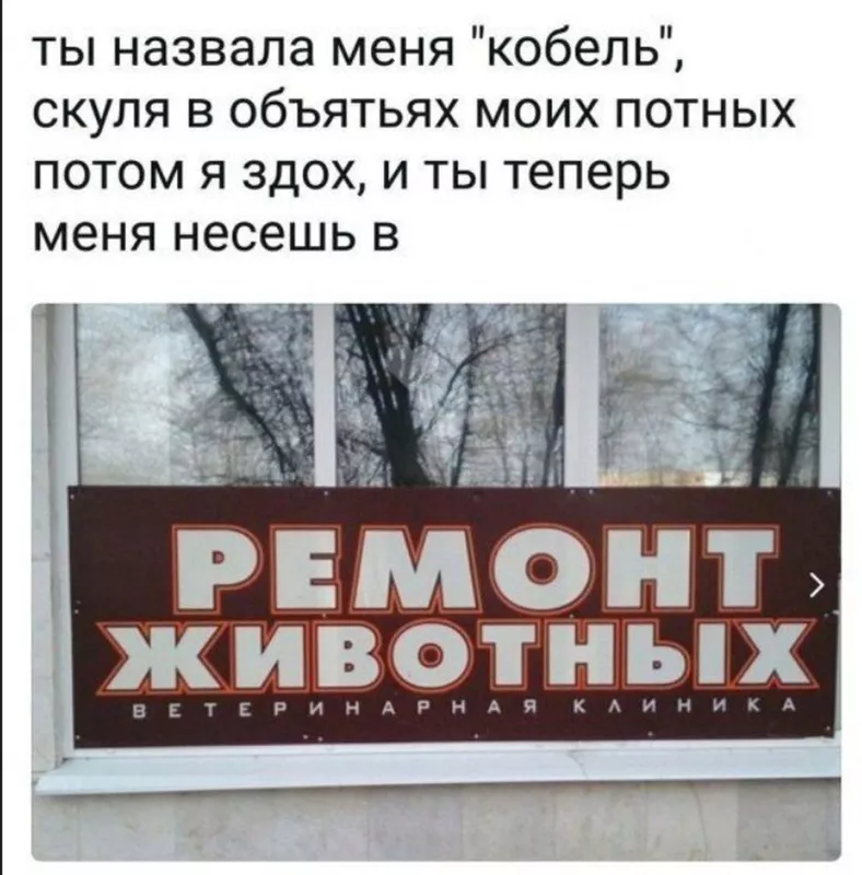 Всюду рифмы