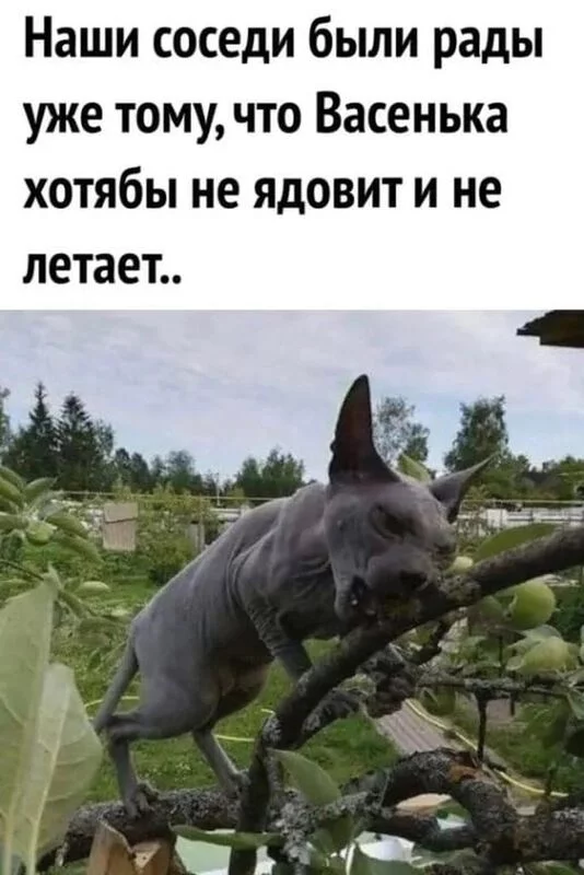 Посмеялся сам - поделись с другом!!!