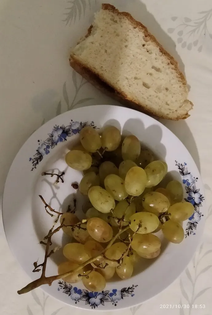 Tapтaлeтки & Ко