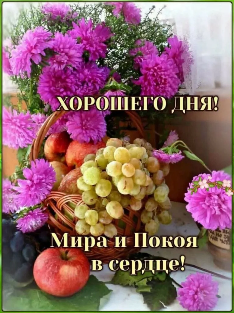 Чайная беседка