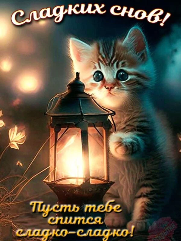 Кафе "У пани Сони"