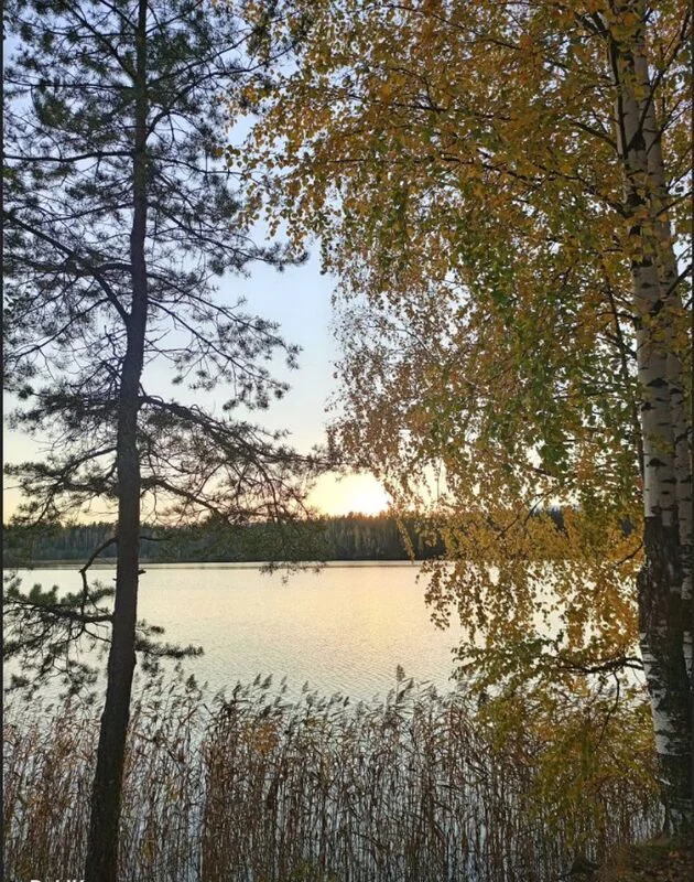 Фотонастроение